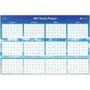 Blue Sky Endless Summer 36" x 24" Yearly Erasable Laminated Planner, 2017