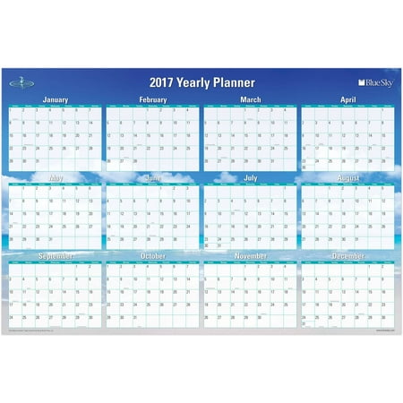 Blue Sky Endless Summer 36" x 24" Yearly Erasable Laminated Planner, 2017
