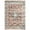 Rust, variant on Aoile Vintage Runner Rug 2x6, Washable Rug Low Pile Non-slip Entryway Runners Floral Distressed Mat for Kitchen, Rust
