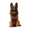 thumbnail image 2 of Cojín de perro en 3D, juguete de peluche para perro, muñeco de peluche suave y realista, almohada para abrazar, cojín de Animal para decoración del Marrón, 2 of 7