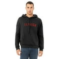thumbnail image 2 of Daxton Adult Unisex Soft Pullover USA Cities States Comfort Hoodie Fleece Sweatshirt, Florida Black Red, S, 2 of 2