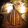 thumbnail image 5 of Pumpkin Luminary Set By Desert Steel Orange, 5 of 6