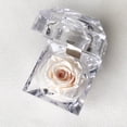 thumbnail image 1 of Mini rosa preservada Mina’an-flor eterna en color Almond Cream en cajita de regalo, 1 of 4