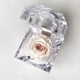 thumbnail image 1 of Mini rosa preservada Mina’an-flor eterna en color Almond Cream en cajita de regalo, 1 of 4