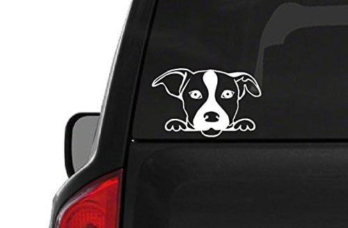 Jack Russell Terrier Dog Car Bumper Sticker Decal 3'' or 5'' 