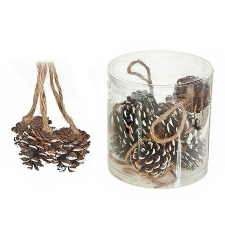 

IH Casa Decor-12 Pack Pinecones In Pvc Tube (White) - Set of 2