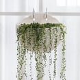thumbnail image 3 of 1Pack Wall and Railing Plastic Pots, Hanging Planters with S Hooks, Indoor and Outdoor Half Round Plant Holders for Fence, Balcony or Rails（No flowers）, 3 of 6