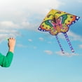 thumbnail image 3 of Cometa de mariposa, juguete infantil para diversión familiar al aire libre n.° 1, 3 of 8
