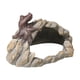 thumbnail image 2 of Cueva de resina para escondite de reptiles, cueva única para terrario de descanso, adorno decorativo para reptiles pequeños, tortugas y anfibios., 2 of 8