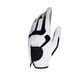 thumbnail image 1 of Sonducket Guante de Golf de mano izquierda para hombre soltero, práctica de entrenamiento, guante adhesivo, cómodo Protector profesional para guantes y mitones Blanco Sonducket AP014211-03, 1 of 6