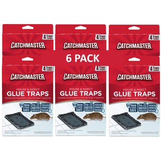 Qoo10 - Lizard Glue Trap Value Pack, Trusted Brand For Lizard Trapping
