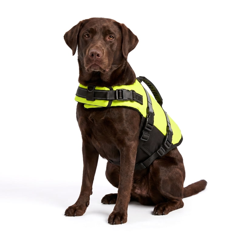 High-Visibility Dog Flotation Device with Top Handle photo 3