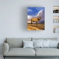 thumbnail image 3 of Chris Dobrowolski 'Elk at Sunset' Canvas Art, 3 of 3