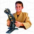 thumbnail image 2 of Star Wars Science - Darth Vader Robotic Arm Playset, 2 of 3