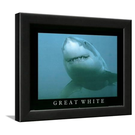 Great White Shark Art Photo Framed Art Print Wall Art  - (Best Great White Shark Photos)