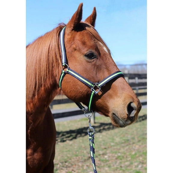 TuffRider Nylon Breakaway Halter Lead Rope Set