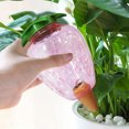 thumbnail image 4 of Bola de riego automático para plantas, riego automático para macetas, riego por goteo automático, paquete de 2, para plantas de interior y exterior, plantas colgantes, plantas de jardín, protector de, 4 of 8