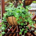 thumbnail image 6 of Wall Hanging Planters Basket Iron Half Round Plant Flower Wall Holder With Coir Liner Plant Hanger For Garden Porch Balcony Indoor Outdoor Decoration, 6 of 7