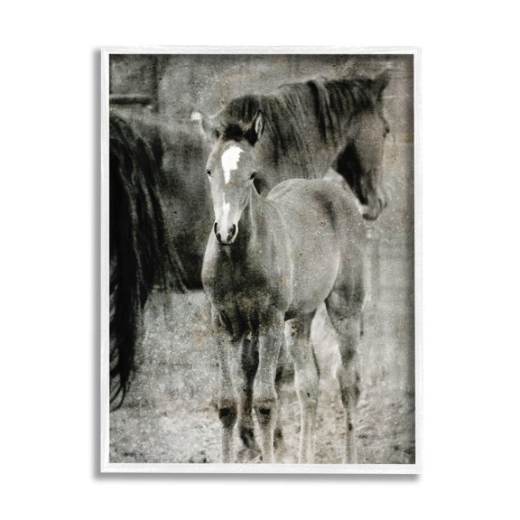 Vintage Foal Horse Farmland Animals & Insects Graphic Art White Framed Art Print Wall Art
