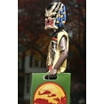 thumbnail image 5 of Predator x Ben Cooper Costume Kids Collection - Predator 6” Costumed Action Figure, 5 of 9