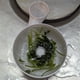 thumbnail image 3 of White, 3 of 9