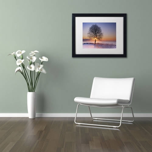 Trademark Fine Art "Tree Burst" Canvas Art by Michael Blanchette Photography White Matte, Black Frame