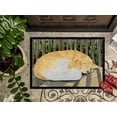 thumbnail image 3 of Carolines Treasures SS8760MAT Paillasson Intérieur Extérieur 18 x 27 Po. Golden Retriever, 3 of 4