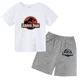 thumbnail image 3 of Conjunto de 2 piezas de camiseta y pantalones cortos con estampado de dinosaurio de Jurassic Park para niños y niñas, con estampado de dibujos animados de verano, 3 of 5