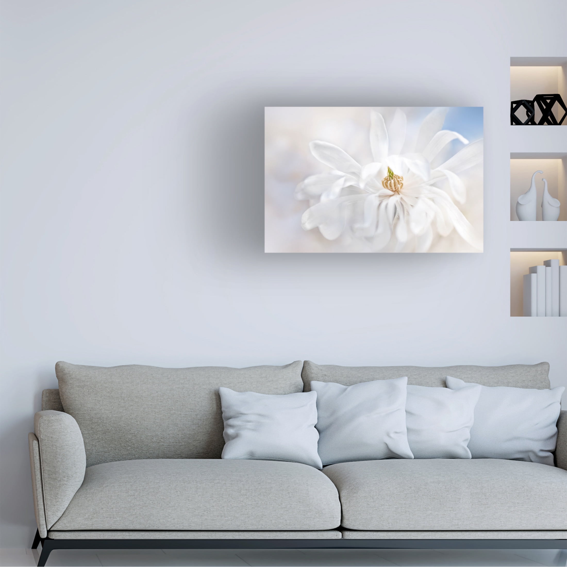 Canvas Wall Art - Jacky Parker 'Magnolia Stellarta' Wall Art for Living Room, Bedroom, or Office D?cor by Trademark Fine Art - 47 x 30 Inches