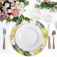 thumbnail image 4 of Ryvnso Blue Boho and Yellow Lemons Round Plate Mats Dining Table Placemat Set of 4 for Holiday Decoration, 4 of 7