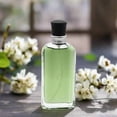thumbnail image 2 of LUCKY YOU by Lucky Brand cologne for men EDC 0.5 oz 15 ml Cologne Spray- 6 Pack, 2 of 5
