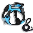 thumbnail image 4 of Adjustable No-Pull Pet Harness & Leash Set - Perfect for Dogs & Cats Walking!, 4 of 5
