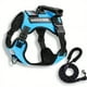 thumbnail image 4 of Adjustable No-Pull Pet Harness & Leash Set - Perfect for Dogs & Cats Walking!, 4 of 5