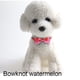 thumbnail image 4 of Nuevo Pet Fruit Bow Ribbon Cat Collar Bow Desmontable Desmontable Bell MFZFUKR CPB-US-YY416-2, 4 of 5