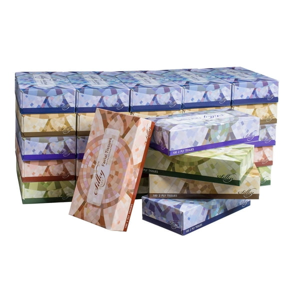Silky Soft 2-Ply Facial Tissues, White, 100 Tissues/Box, 30 Boxes (3,000 Total Tissues)