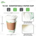thumbnail image 3 of 16 oz Compostable Paper Cups with White Dome Lids and Sleeves - Biodegradable Disposable White Paper Coffee Cups PLA Lined - Eco-friendly Hot and Cold Drinking Cups (250), 3 of 4