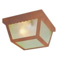 thumbnail image 2 of Trans Globe Lighting 4902 RT Two Light Down Lighting Outdoor Flush Mount Ceiling Fixture, 2 of 2