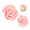 Pink-6 Assorted, variant on Cake Toppers White 8 Assorted Edible Garden Roses Gumpaste Flower Set