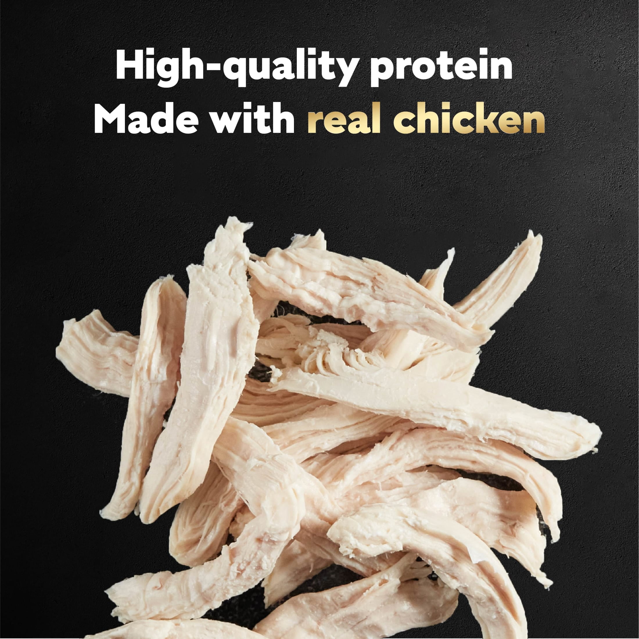 (4 pack) Cesar Filets in Gravy Rotisserie Chicken Flavor Wet Dog Food, 1.76-oz Mini-Pouches