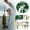 B, variant on Fishing Kit Includes: For Saltwater Freshwater Trout Fishing Fishing Set D Descending Device Ice Fan Whisker Tackle N Gear Boys Gig River Gear Hook & Tackle Kayak Catfish Candied Peel for Bottom Rigs