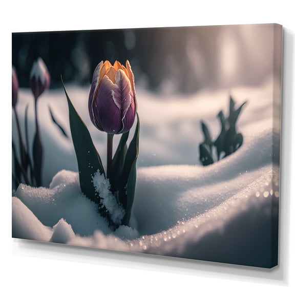 Designart A Blooming Purple Tulip Flower In Winter Canvas Wall Art