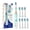 Green, variant on Seago Kids Electric Toothbrush, Rainbow LED Light,4 Brush Heads,for Kids 3+