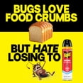 thumbnail image 6 of Raid Defend Ant and Roach Killer, Outdoor Bug Spray, Outdoor Fresh Scent Value Pack, 20 oz, 2 Count, 6 of 12