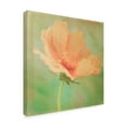 thumbnail image 2 of Trademark Fine Art 'Dream in Pink I' Canvas Art by Jennifer Jorgensen, 2 of 4