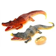 Animal Kingdom Crocodile Lizard Toy Dinosaur Figures w/ Toy Egg, Highly Detailed Textured Body (Colors May Vary)
