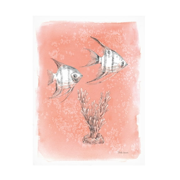 Beth Grove 'Coastal Sea Life III' Canvas Art