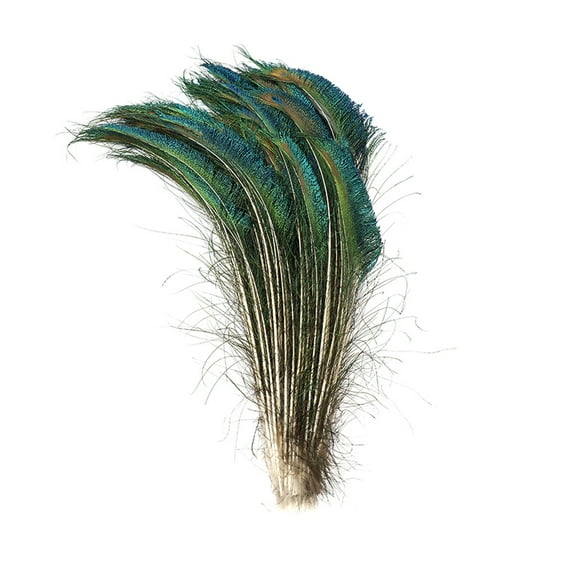 ZUCKER™ Peacock Sword-Tail Feathers (Left Side) - 15 - 25" - 100pcs - Natural
