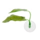 thumbnail image 1 of Cama de descanso para peces, hoja de planta Artificial Betta, hojas artificiales para acuarios, hojas de alta capacidad Jadeshay  A, 1 of 8