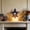 Multicolor1, variant on American Star Plug-In Night Light, Red White Blue Patriotic Led Nightlight Independence Day Lamp with Dusk To Dawn Sensor for Gifts Multicolor2