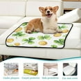 thumbnail image 6 of Qxltty St Patricks Shamrock and Gold Coin Patterns Cat litter Pads Pet Set of 2 Diaper Mats Center Anti-leakage Layer Absorbent Soft and Comfortable, 6 of 7